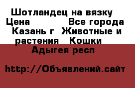 Шотландец на вязку › Цена ­ 1 000 - Все города, Казань г. Животные и растения » Кошки   . Адыгея респ.